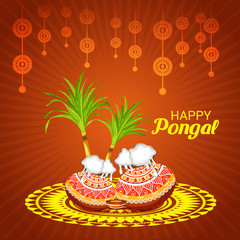 Happy Pongal.