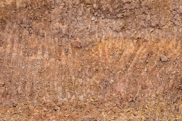 Sandy loam surface which was dug.