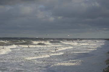 ostsee sturm hohe wellen sturmflut unwetter