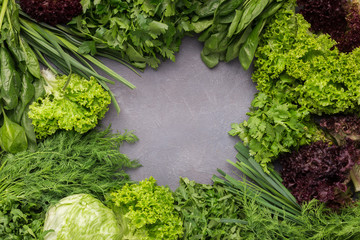 Various greenery on gray background, top view