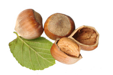 Hazelnut with hazelnut leaf