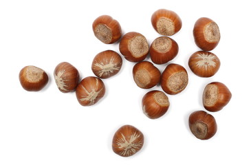 Hazelnuts isolated on white background, top view