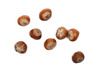 Hazelnuts isolated on white background, top view