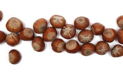Hazelnuts isolated on white background, top view
