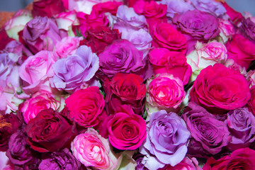 Bouquet of different roses. holiday gift to the woman. Natural flowers.