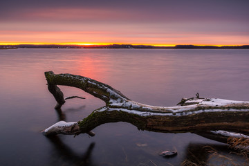 Tree on frozen Swiecajty lake near Wegorzewo, Masuria, Poland