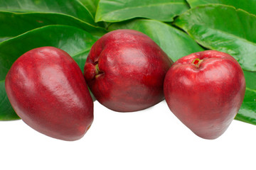 Exotic fruit Syzygium malaccense with leaves in white background