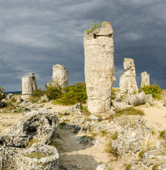 Pobiti Kamani (The Planted Stones) - a rock formations also called The Stone Forest or The Stone Desert located near Varna, Bulgaria