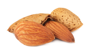 almond isolated on a white background. macro