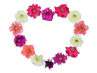 White and pink petunia flowers in a heart shape isolated on white with copy space for your text