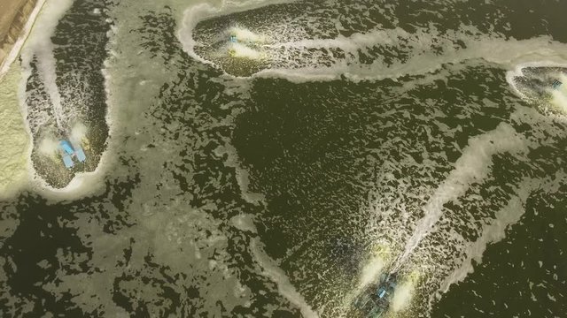 shrimp, prawn farming with with aerator pump for oxygenation water. Shrimp farms aerial view aquaculture business exported international market. java, indonesia