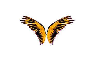 wing separate white background