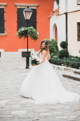 Fototapeta premium Beautiful fashion bride in wedding dress posing