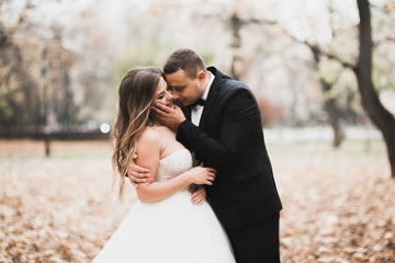 Happy wedding couple walking in a botanical park