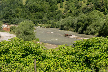 Fototapeta na wymiar Landscape in Vaser Valley, Bucovina, Mocanita Steam Train, Romania