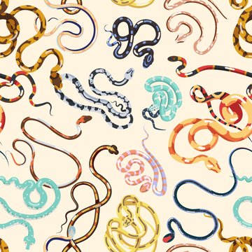 Seamless pattern with various snakes or serpents on light background