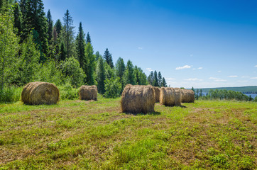 Beautiful summer landscape with sloping meadow, hay, forest and river with blue sky with clouds.