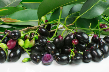 Exotic fruit Syzygium cumini called in Brazil as jamelão in white background with one cut