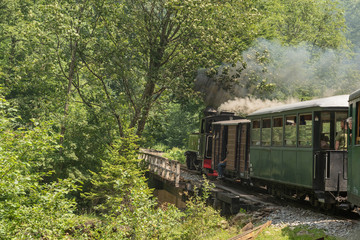 Fototapeta premium July 4, 2018 - Mocanita Steam Train in Vaser Valley, Bucovina, Romania