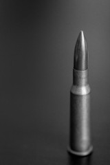 Пуля черно белое фото