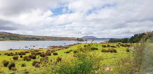 Fototapeta na wymiar waterside scenery in Connemara