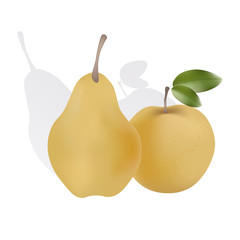 Apple and pear with shadows. Isolated. Vector