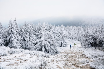 Zimowy krajobraz w polskich górach, Kotlina Kłodzka - 242278394