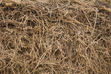 hay and manure