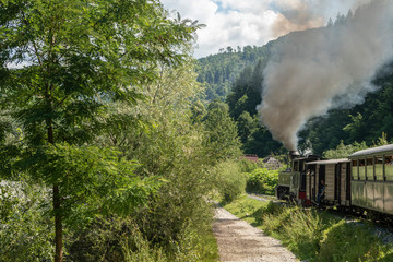 Fototapeta premium July 4, 2018 - Mocanita Steam Train in Vaser Valley, Bucovina, Romania