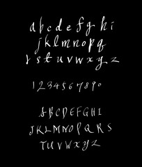 벡터 문자 / 손으로 쓴 글씨체