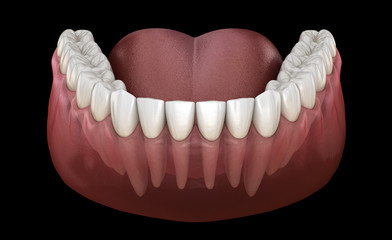 Morphology of mandibular human gum and teeth. Medically accurate tooth 3D illustration