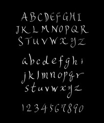 벡터 문자 / 손으로 쓴 글씨체