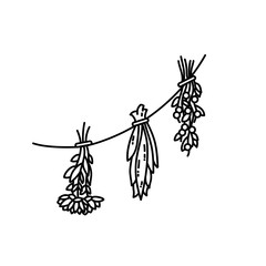 Dried herbs ornament. Flat style isolated image
