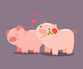 Pigs couple with a rose and hearts. Valentine Day vector cartoon cute animal character isolated on background.