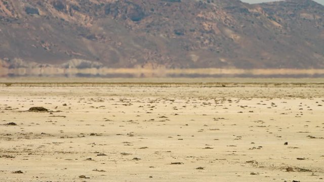 Panning left to right showing a mirage in the Great Salt Desert of Iran. A heat haze creates the illusion of water across the desert plain.