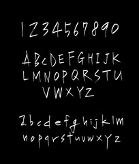 벡터 문자 / 손으로 쓴 글씨체