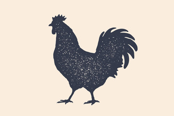 Rooster, chicken, hen, poultry, silhouette. Vintage logo, retro print, poster