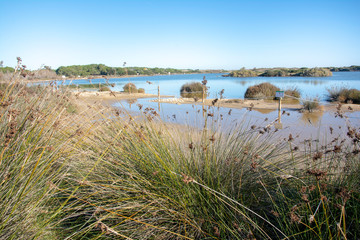 Lago bonito