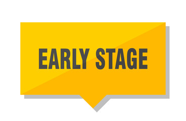 early stage price tag