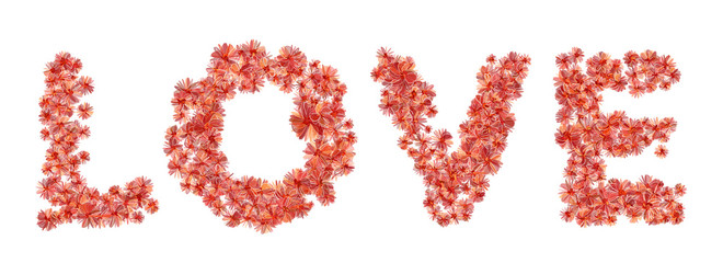 Word LOVE filled with bright coral flowers. Isolated fine detailed design element for advertising.