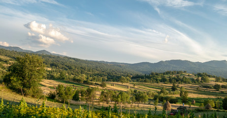 Naklejka premium Summer landscape in Bucovina, Romania