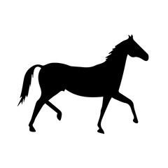 Fototapeta na wymiar Horse Icon
