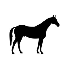 Horse Icon