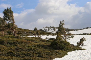 Paisaje Invernal