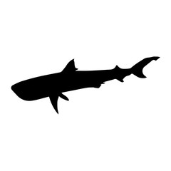 black silhouette shark