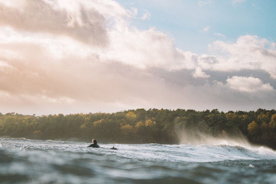 Surf