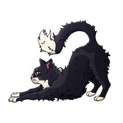 Vector colorful illustration on the pets theme: fluffy cat. Cartoon character. Domestic animal. Isolated objects for your design.