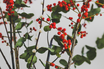 Christmas themed bunch of flowers with eucalyptus red holly berries and cotton