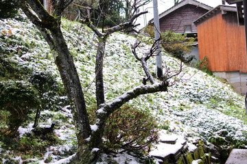 a view of the countryside in Japan