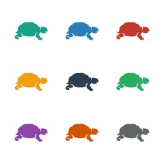 turtle icon white background